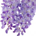 Wisteria Fragrances - Shop inspired-by fragrances at Fragrenza