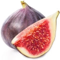 Fig Fragrances - Shop inspired-by fragrances at Fragrenza