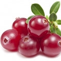 Cranberry note