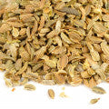 Carrot Fragrances - Shop inspired-by fragrances at Fragrenza