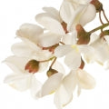 Black Locust Fragrances - Shop inspired-by fragrances at Fragrenza