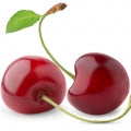 Illustration representing Cherry Fragrances