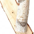 Birch note