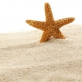 Sand Fragrances - Shop inspired-by fragrances at Fragrenza