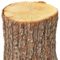 Oak Fragrances - Shop inspired-by fragrances at Fragrenza