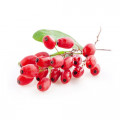 Barberry Fragrances - Shop inspired-by fragrances at Fragrenza