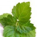 Patchouli Fragrances