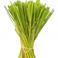 Illustration representing Lemongrass Fragrances