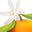 Mandarin Leaf