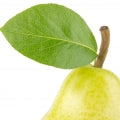 Illustration representing Pear Leaf Fragrances