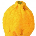 Citron Fragrances - Shop inspired-by fragrances at Fragrenza