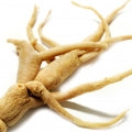 Ginseng Fragrances - Shop inspired-by fragrances at Fragrenza