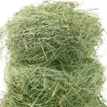 Hay Fragrances - Shop inspired-by fragrances at Fragrenza