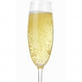Illustration representing Champagne Fragrances