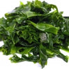 Seaweed note — Seaweed Fragrances