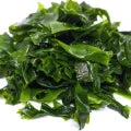 Kelp Fragrances