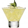 Martini Fragrances - Shop inspired-by fragrances at Fragrenza