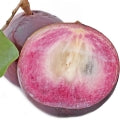 Star apple