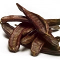 Carob tree Fragrances - Shop inspired-by fragrances at Fragrenza