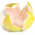 Methyl Pamplemousse Fragrances - Shop inspired-by fragrances at Fragrenza