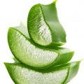 Aloe Vera Fragrances - Shop inspired-by fragrances at Fragrenza