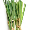 Palmarosa Fragrances - Shop inspired-by fragrances at Fragrenza