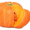 Pumpkin Fragrances
