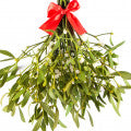 Mistletoe Fragrances - Shop inspired-by fragrances at Fragrenza