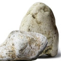 Ambergris Fragrances