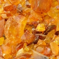 Copal Fragrances - Shop inspired-by fragrances at Fragrenza