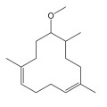 Lorenox Fragrances - Shop inspired-by fragrances at Fragrenza