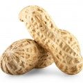 Peanut Fragrances - Shop inspired-by fragrances at Fragrenza
