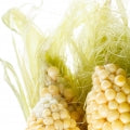 Corn Silk Fragrances - Shop inspired-by fragrances at Fragrenza