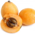 Japanese Loquat Fragrances - Shop inspired-by fragrances at Fragrenza