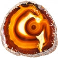 Ambrarome Fragrances - Shop inspired-by fragrances at Fragrenza