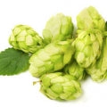 Hops Fragrances