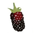 Boysenberry Fragrances - Shop inspired-by fragrances at Fragrenza