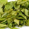 Illustration representing Buchu or Agathosma Fragrances