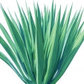 Agave Fragrances - Shop inspired-by fragrances at Fragrenza