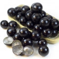 Jabuticaba Fragrances - Shop inspired-by fragrances at Fragrenza