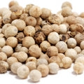 Illustration representing Coriander Fragrances