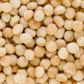 Macadamia Fragrances - Shop inspired-by fragrances at Fragrenza