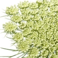 Khella Fragrances - Shop inspired-by fragrances at Fragrenza