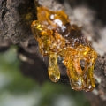 Amberwood Fragrances