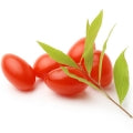 Goji Berries Fragrances - Shop inspired-by fragrances at Fragrenza
