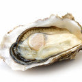 Oysters Fragrances