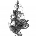 Smoke Fragrances - Shop inspired-by fragrances at Fragrenza