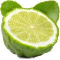 Bergamot Fragrances — browse fragrances in this collection