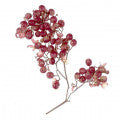 Peppertree Fragrances - Shop inspired-by fragrances at Fragrenza