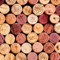 Cork Fragrances - Shop inspired-by fragrances at Fragrenza